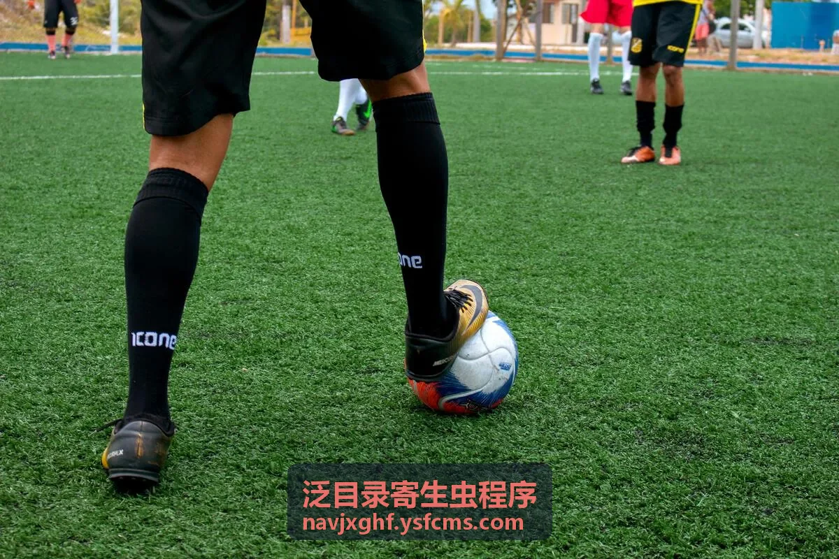 泛二级秒收站群程序陌生页面收录排查